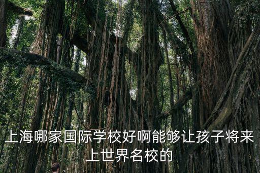 上海國際學校排名一覽表，上海哪家國際學校好啊能夠讓孩子將來上世界名校的