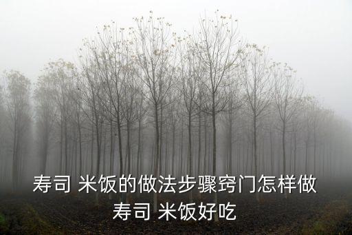  壽司 米飯的做法步驟竅門(mén)怎樣做 壽司 米飯好吃