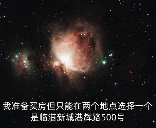 我準備買房但只能在兩個地點選擇一個是臨港新城港輝路500號