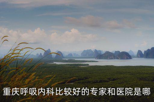 重慶呼吸內(nèi)科比較好的專家和醫(yī)院是哪