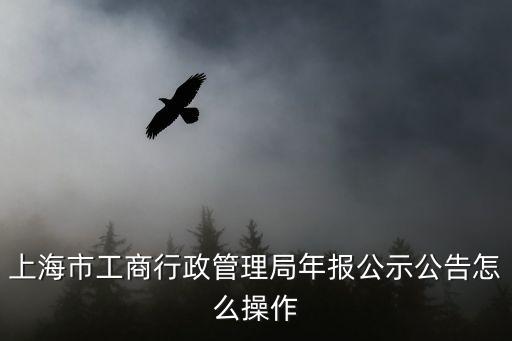 上海市工商行政管理局年報公示公告怎么操作
