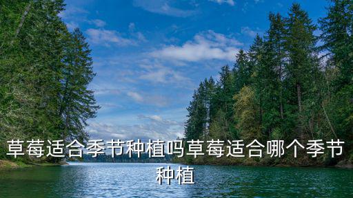 草莓適合季節種植嗎草莓適合哪個季節種植