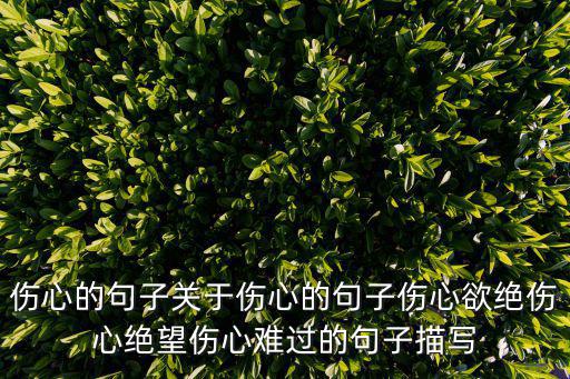 傷心的句子關于傷心的句子傷心欲絕傷心絕望傷心難過的句子描寫