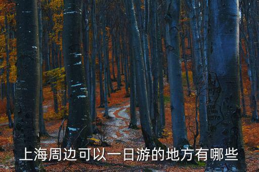 上海周邊可以一日游的地方有哪些