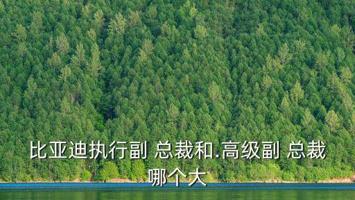 比亞迪執(zhí)行副 總裁和.高級(jí)副 總裁哪個(gè)大