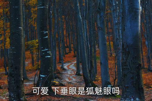 可愛 下垂眼是狐魅眼嗎