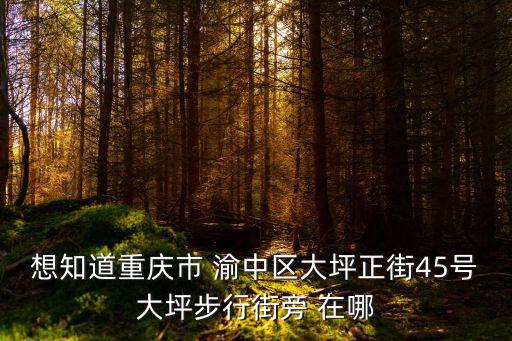 想知道重慶市 渝中區(qū)大坪正街45號大坪步行街旁 在哪