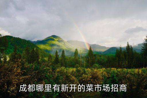 成都哪里有新開的菜市場招商
