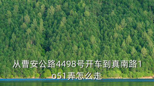 從曹安公路4498號開車到真南路1o51弄怎么走