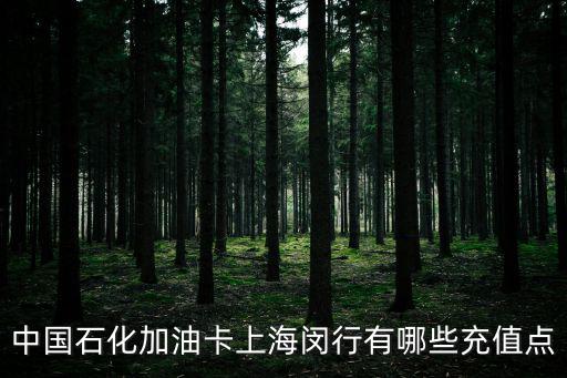 中國石化加油卡上海閔行有哪些充值點
