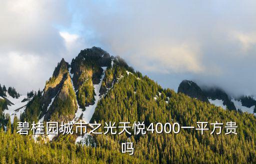 碧桂園城市之光天悅4000一平方貴嗎