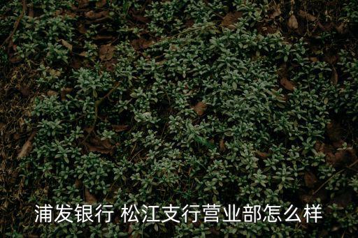 浦發銀行 松江支行營業部怎么樣