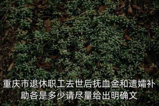 重慶市退休職工去世后撫血金和遺孀補助各是多少請盡量給出明確文