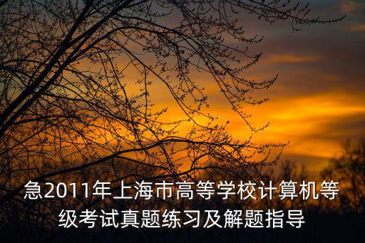急2011年上海市高等學校計算機等級考試真題練習及解題指導