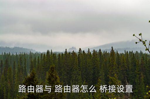  路由器與 路由器怎么 橋接設置