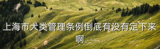 上海市犬類管理條例倒底有沒有定下來啊