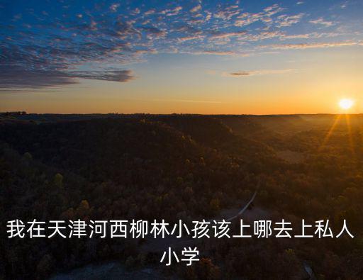 天津市柳林小學電話，天津市塘沽區各小學中學高中大學中專大專等所有學校的