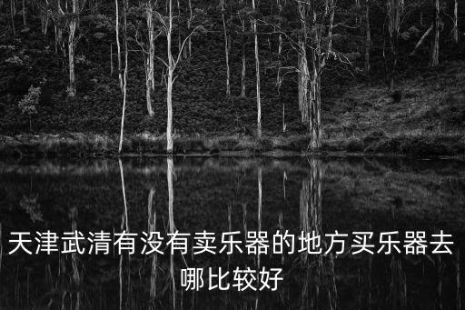 天津市買古箏的地方嗎，天津武清有沒(méi)有賣樂(lè)器的地方買樂(lè)器去哪比較好