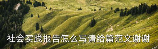 社會實踐報告怎么寫請給篇范文謝謝