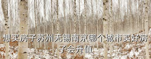 無錫和南京房價哪個好賣，想買房子蘇州無錫南京哪個城市買好房子會升值
