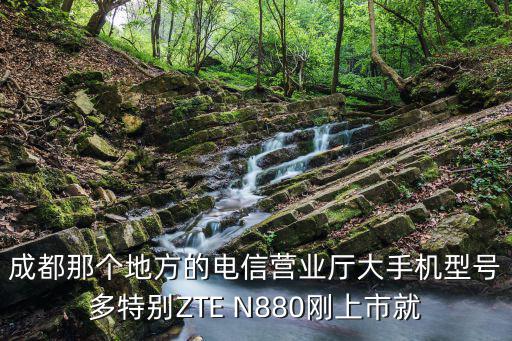 成都那個(gè)地方的電信營(yíng)業(yè)廳大手機(jī)型號(hào)多特別ZTE N880剛上市就