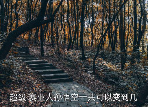 賽亞人圖片,龍珠z可以去超賽亞人
