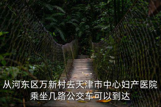 從河東區萬新村去天津市中心婦產醫院乘坐幾路公交車可以到達