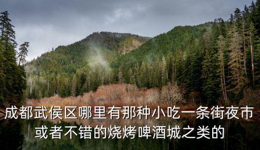 成都武侯區哪里有那種小吃一條街夜市或者不錯的燒烤啤酒城之類的