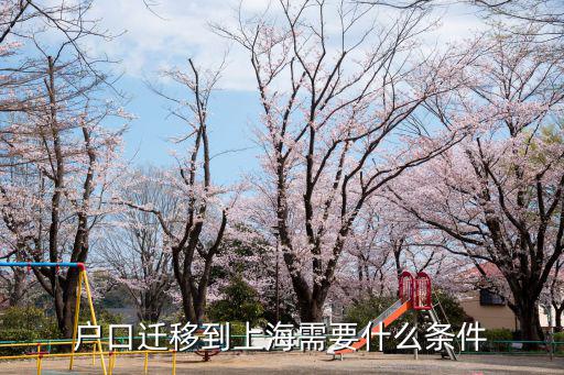 轉上海戶口需要什么條件，落戶上海需要什么條件