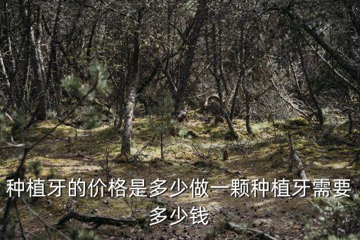 種植牙的價格是多少做一顆種植牙需要多少錢
