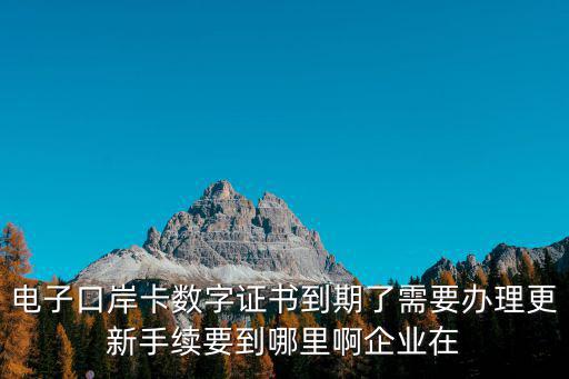電子口岸卡數(shù)字證書到期了需要辦理更新手續(xù)要到哪里啊企業(yè)在