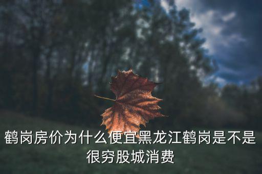 鶴崗哪個小區房價便宜，鶴崗當地的房價多少錢一平真的可以2萬塊買到一套房子嗎