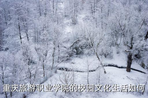 重慶旅游職業學院的校園文化生活如何