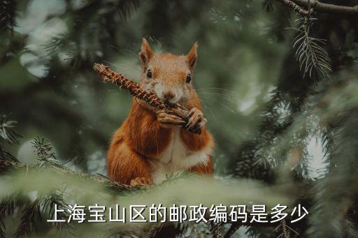 上海寶山區的郵政編碼是多少