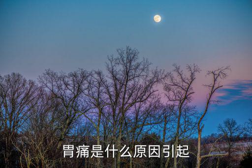 胃痛是什么原因引起