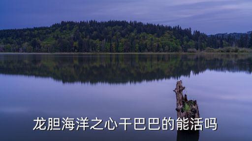 草本之心,心字旁的燈
