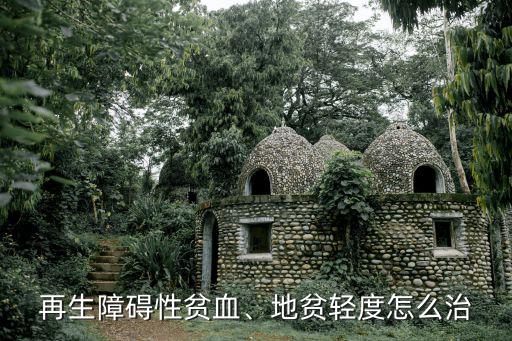 再生障礙性貧血、地貧輕度怎么治