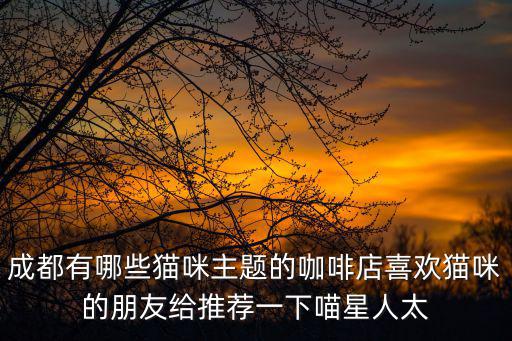 成都有哪些貓咪主題的咖啡店喜歡貓咪的朋友給推薦一下喵星人太