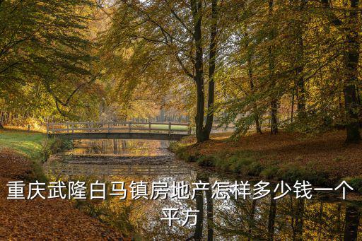 重慶武隆白馬鎮房地產怎樣多少錢一個平方
