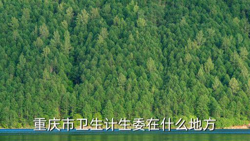 重慶市衛生計生委在什么地方
