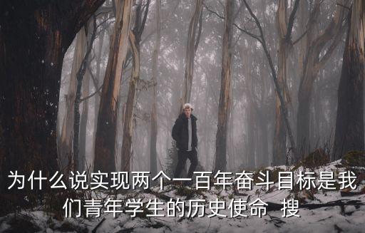 為什么說實現兩個一百年奮斗目標是我們青年學生的歷史使命  搜