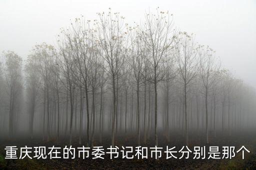 重慶現(xiàn)在的市委書記和市長分別是那個