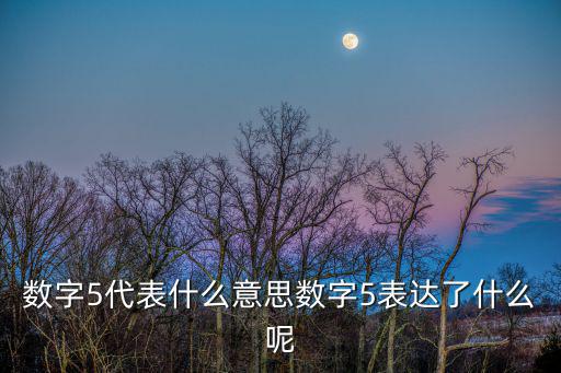 數(shù)字5代表什么意思數(shù)字5表達了什么呢