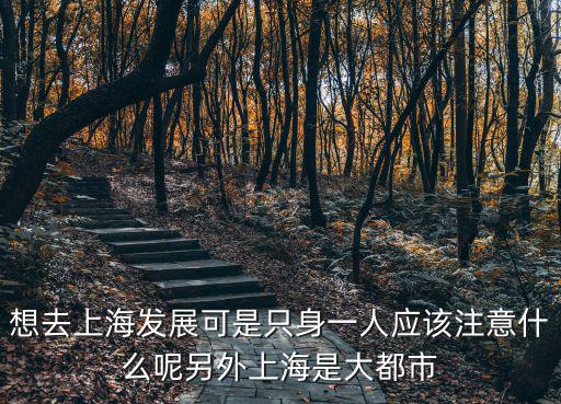 想去上海發展可是只身一人應該注意什么呢另外上海是大都市