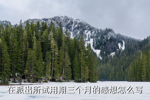 派出所實習總結，求一片寒假派出所見習的實踐報告3000字要求如下