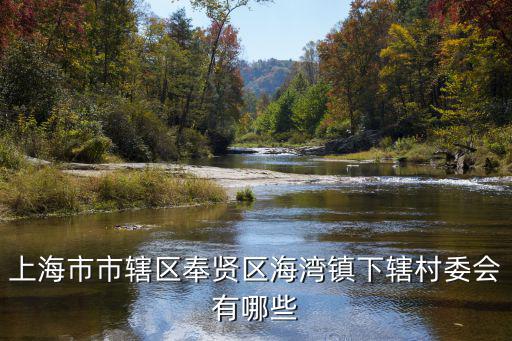 上海市市轄區(qū)奉賢區(qū)海灣鎮(zhèn)下轄村委會(huì)有哪些