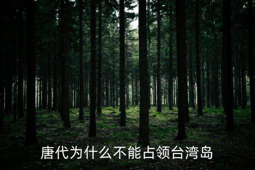 為什么不打臺灣,康熙為何斷定非叛將不能收復臺灣?