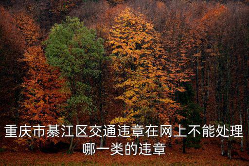 重慶市綦江區(qū)交通違章在網(wǎng)上不能處理哪一類的違章