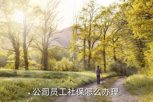員工社保,沒簽定勞動合同無法辦理社保公司員工社保怎么辦理?