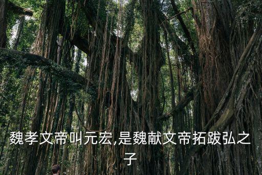 北魏獻文帝,魏孝文帝之子拓跋宏即位